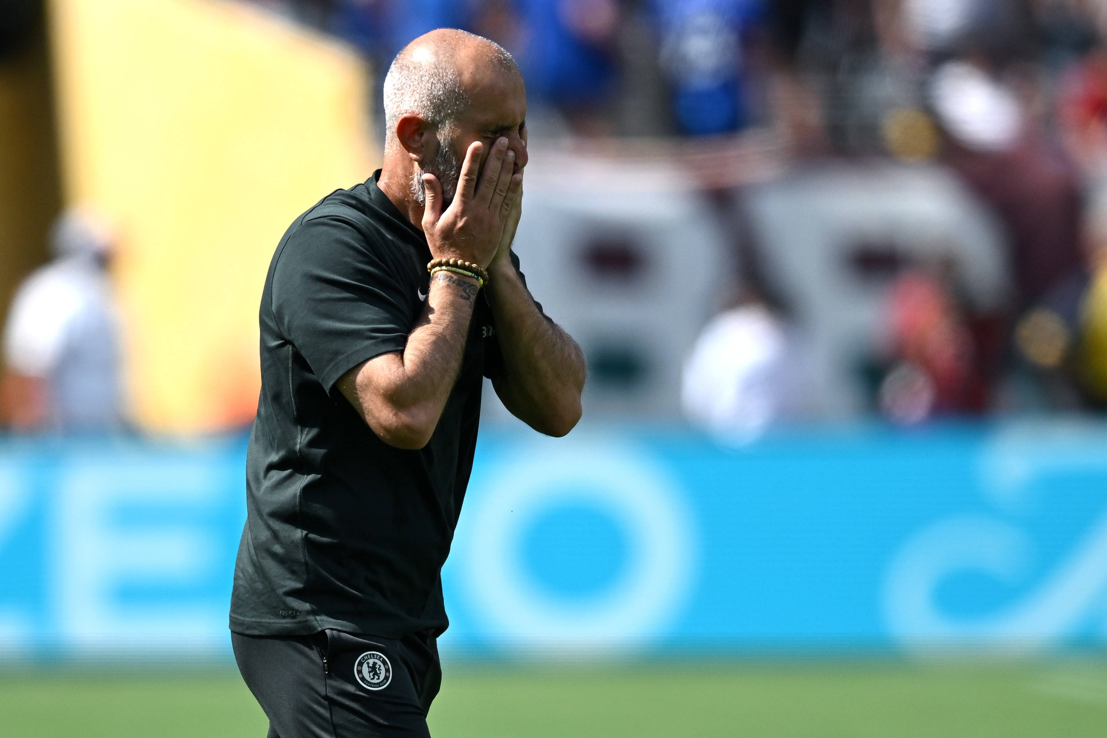 切尔西签新, entit 切尔西签新, entit