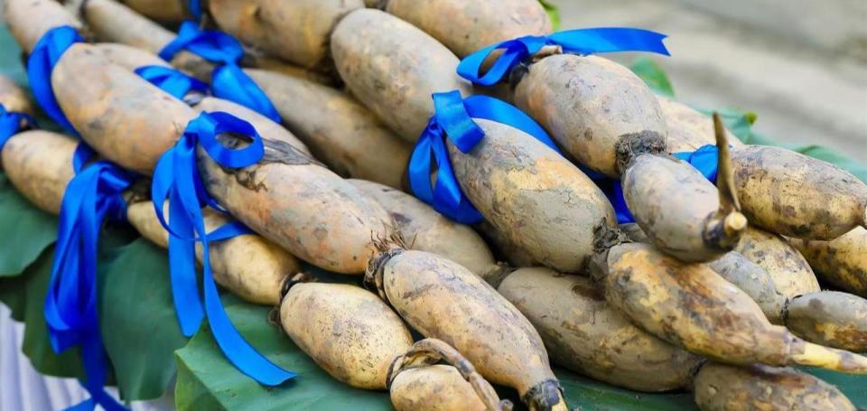 OnDAk, 本次比赛男, 礼品莲藕后 OnDAk, 本次比赛男, 礼品莲藕后